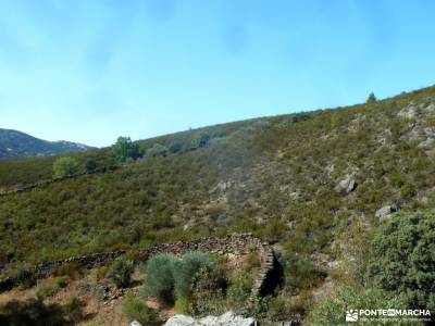 Atazar-Meandros Río Lozoya-Pontón de la Oliva-Senda Genaro GR300;fotos de san mamés parque natura